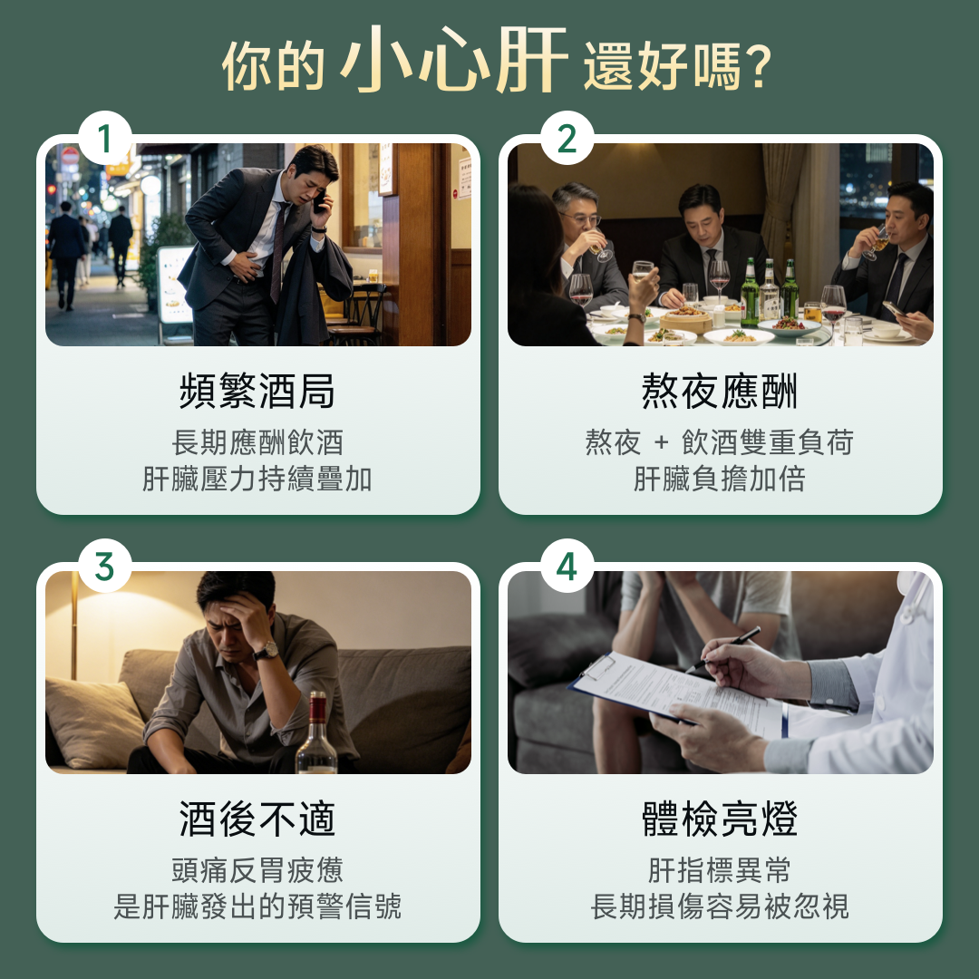 NatureU 醉友 解酒護肝片 水飛薊+厚朴酚+高分子薑黃素 10粒/瓶
