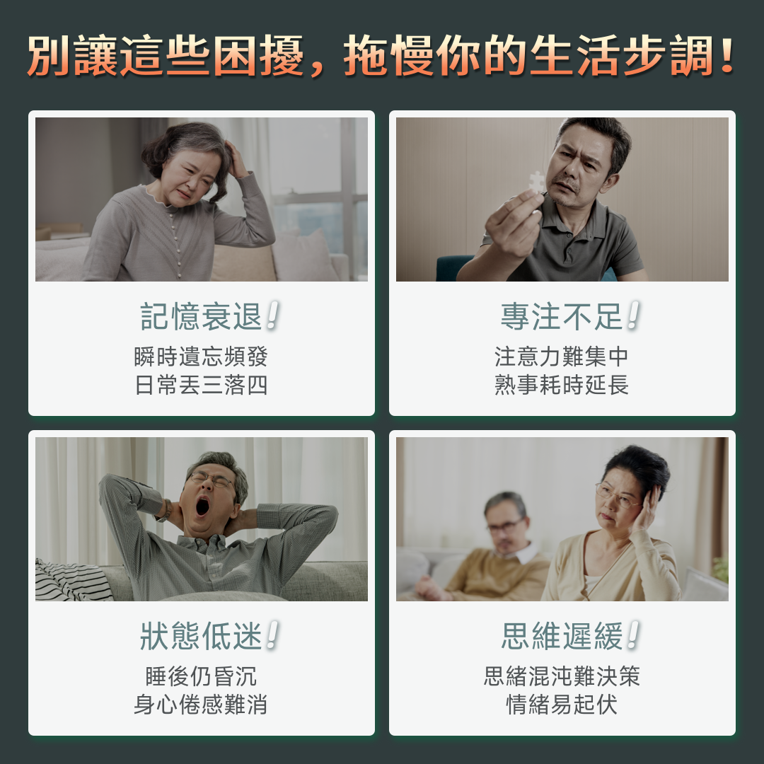 NatureU NeuroMaster®+PS+DHA+銀杏葉萃取物 憶智醒腦片 Brain Health 30粒/瓶