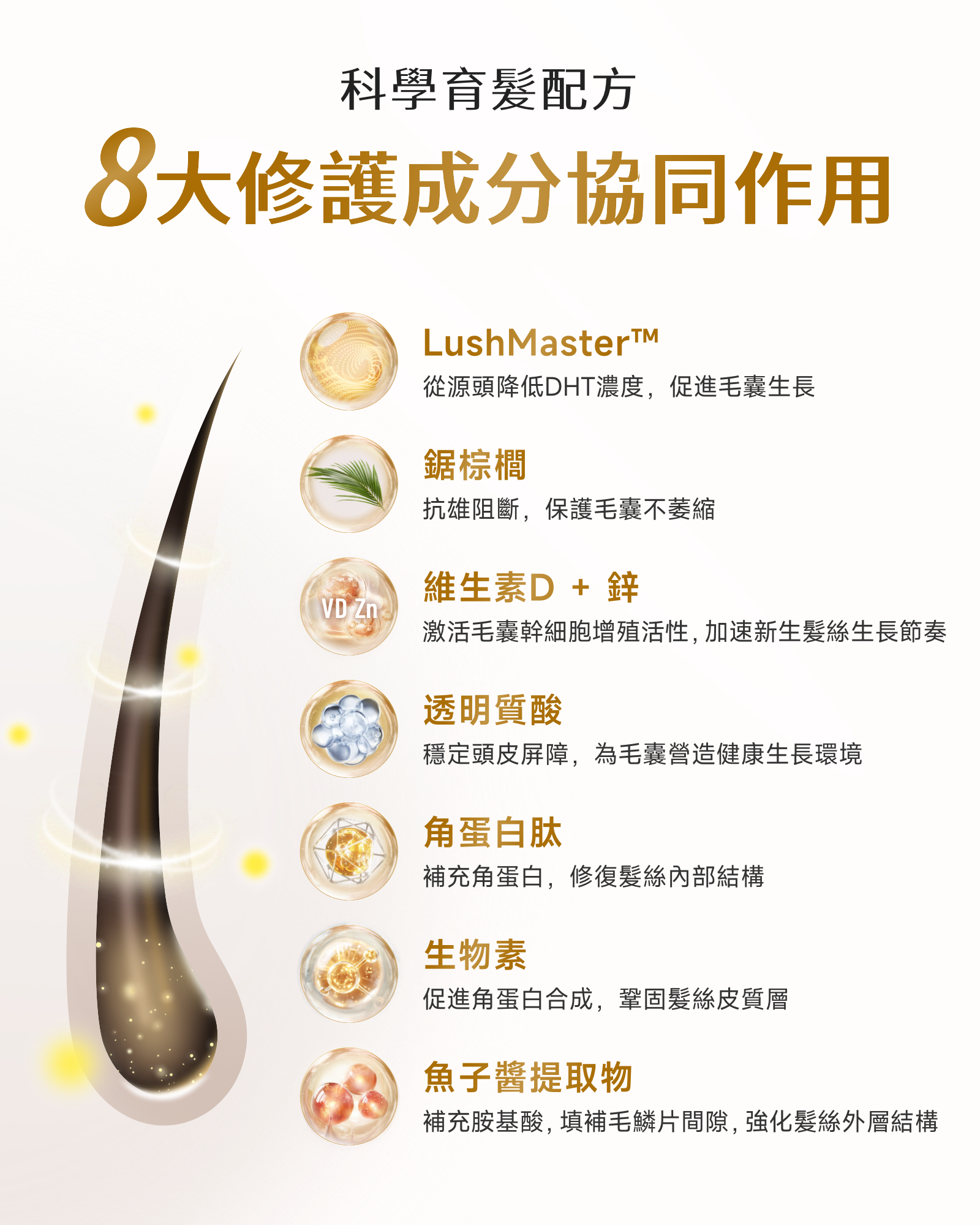 HairGlowM_f8229493-5ec0-427c-9712-75a44d0f8c35.png