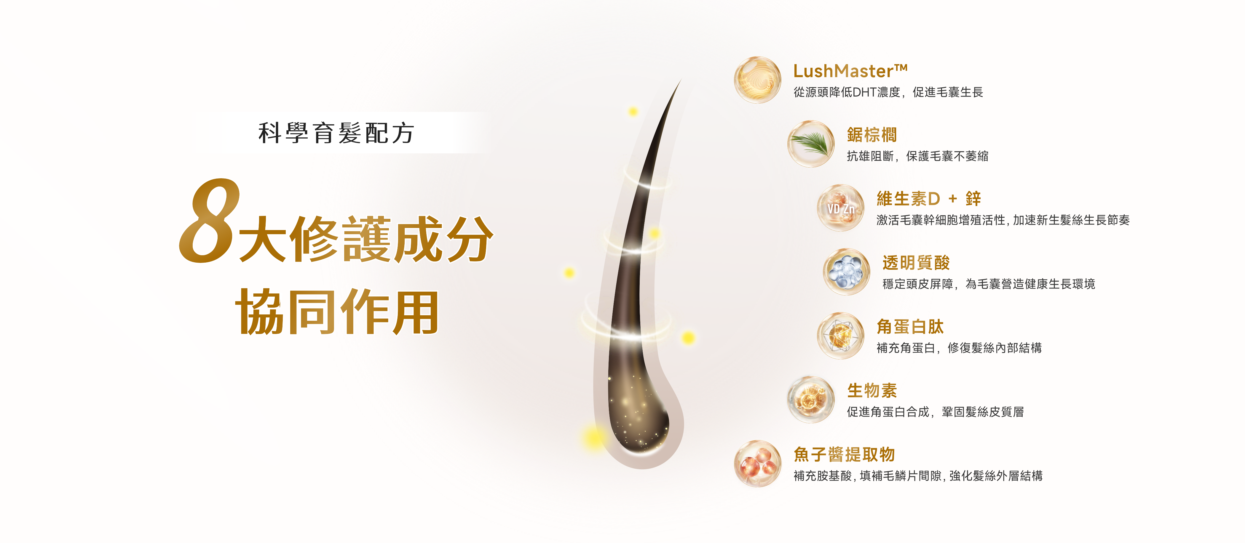 HairGlowPC_65545691-2d0a-44e5-9e53-f14a6c440b89.png
