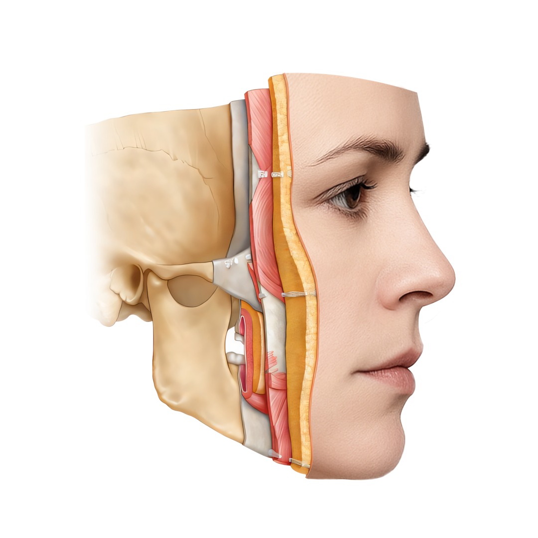 PQQ_PC_ec7caf41-1b9c-4700-b403-5375ef9cb534.png
