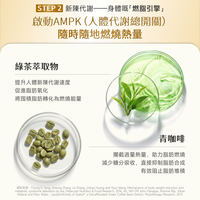 NatureU FitMaster® 高分子非洲芒果籽+綠茶萃取物+青咖啡+LG2055益生菌等 消腩燒脂囊 Body Burn Plus 60粒/瓶
